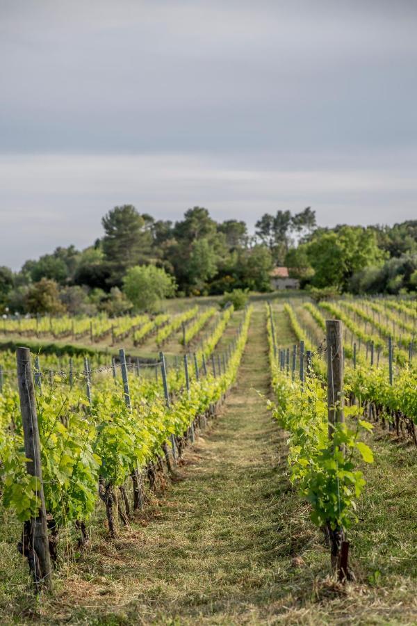 Domaine Rabiega - Vineyard And Boutique Hotel ドラギニャン エクステリア 写真