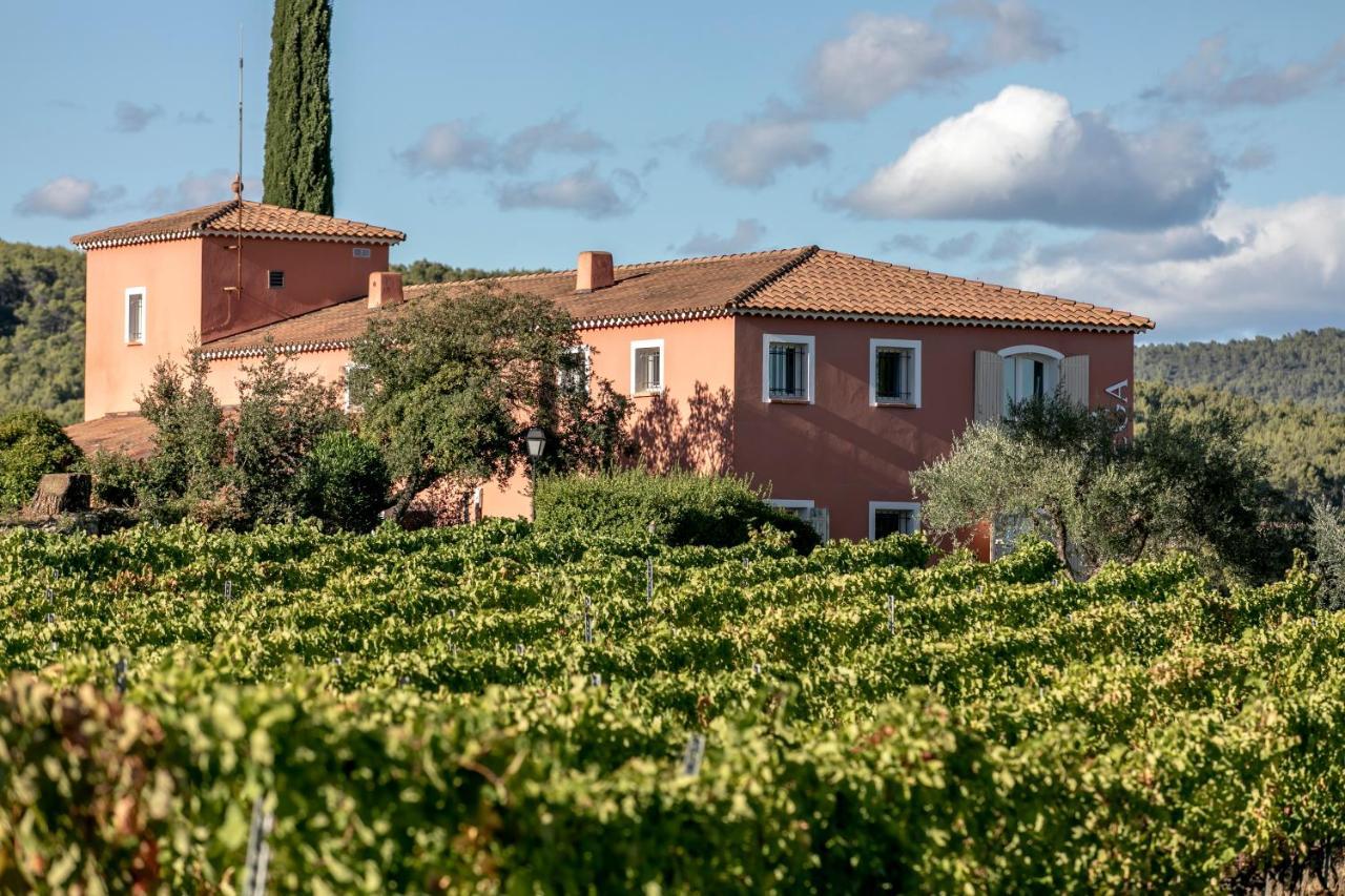 Domaine Rabiega - Vineyard And Boutique Hotel ドラギニャン エクステリア 写真