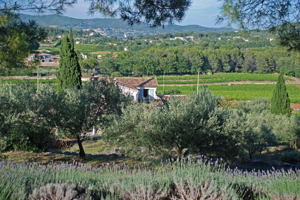Domaine Rabiega - Vineyard And Boutique Hotel ドラギニャン エクステリア 写真