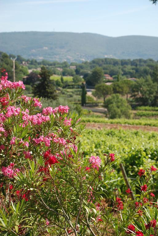 Domaine Rabiega - Vineyard And Boutique Hotel ドラギニャン エクステリア 写真