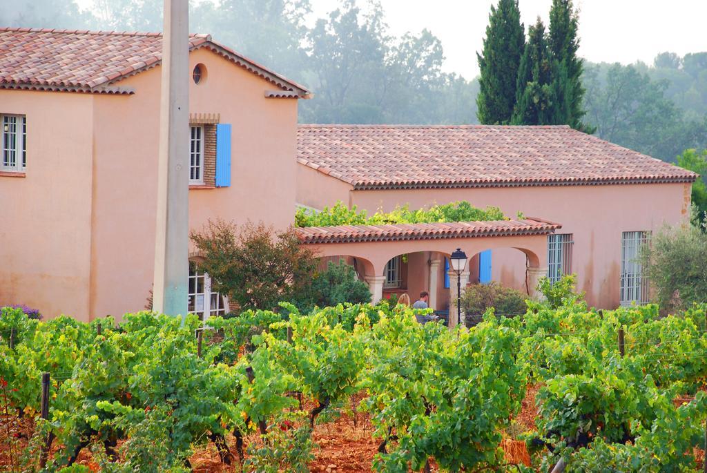 Domaine Rabiega - Vineyard And Boutique Hotel ドラギニャン エクステリア 写真
