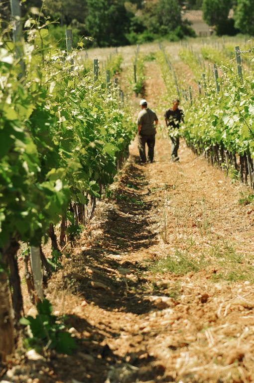 Domaine Rabiega - Vineyard And Boutique Hotel ドラギニャン エクステリア 写真