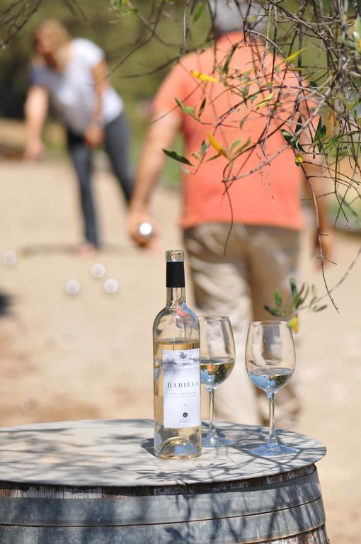 Domaine Rabiega - Vineyard And Boutique Hotel ドラギニャン エクステリア 写真